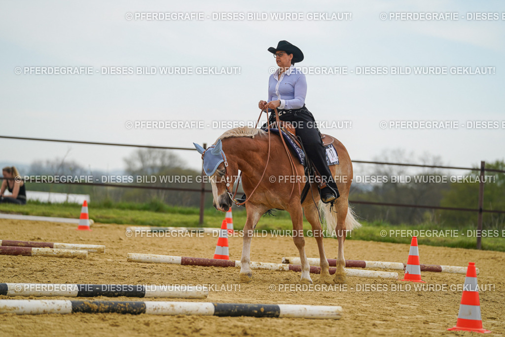 DSC02498 | Pferdegrafie