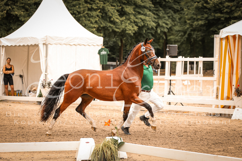 12.So00061 | Leoni Ertmer Photography - Realisiert mit Pictrs.com