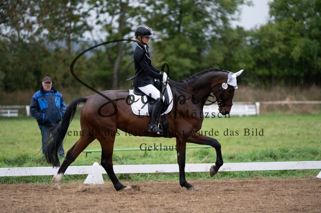 A7V05711 | Pferdefotograf