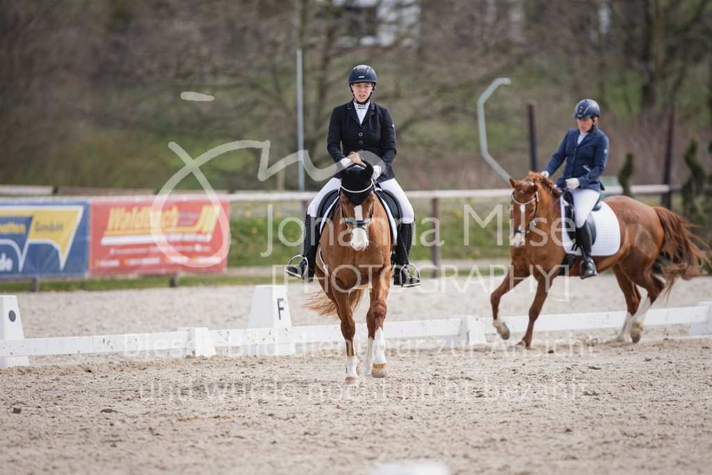 230410_Frühlingsfest_A-Dressur-523 | Deine schönsten Turniermomente als professionelle Fotos! Entdecke hochwertige Pferdesport-Fotografie im Online-Shop. Jetzt Fotos finden & bestellen!