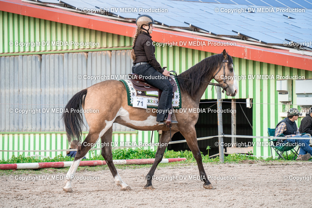 BAL02934 | dv-media-shop - Realisiert mit Pictrs.com