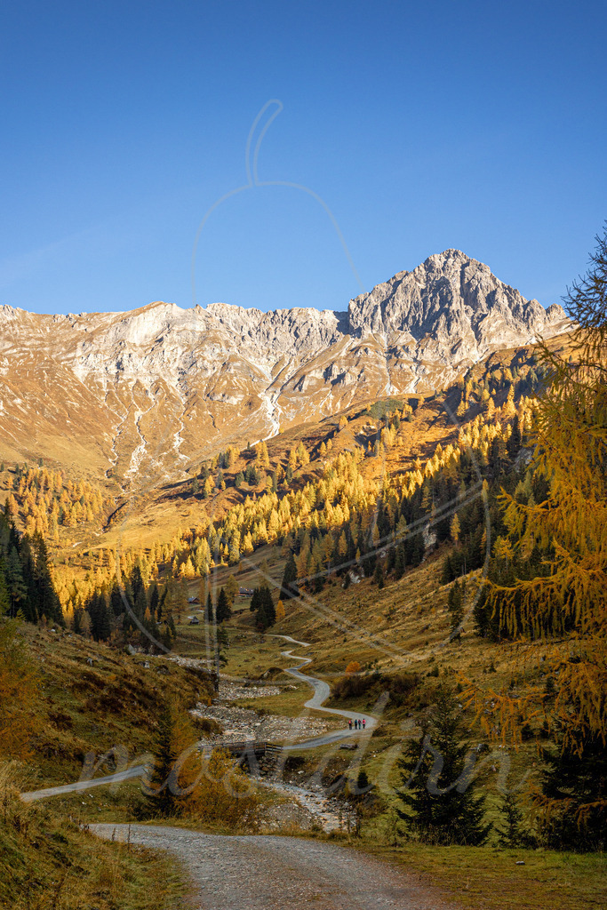 Auf dem Weg zur Muhreralm | Bei Veröffentlichung des Bildes ist eine Namensnennung wie folgt erforderlich: 
Foto: Mostdirn Irmgard Wieser - Realisiert mit Pictrs.com