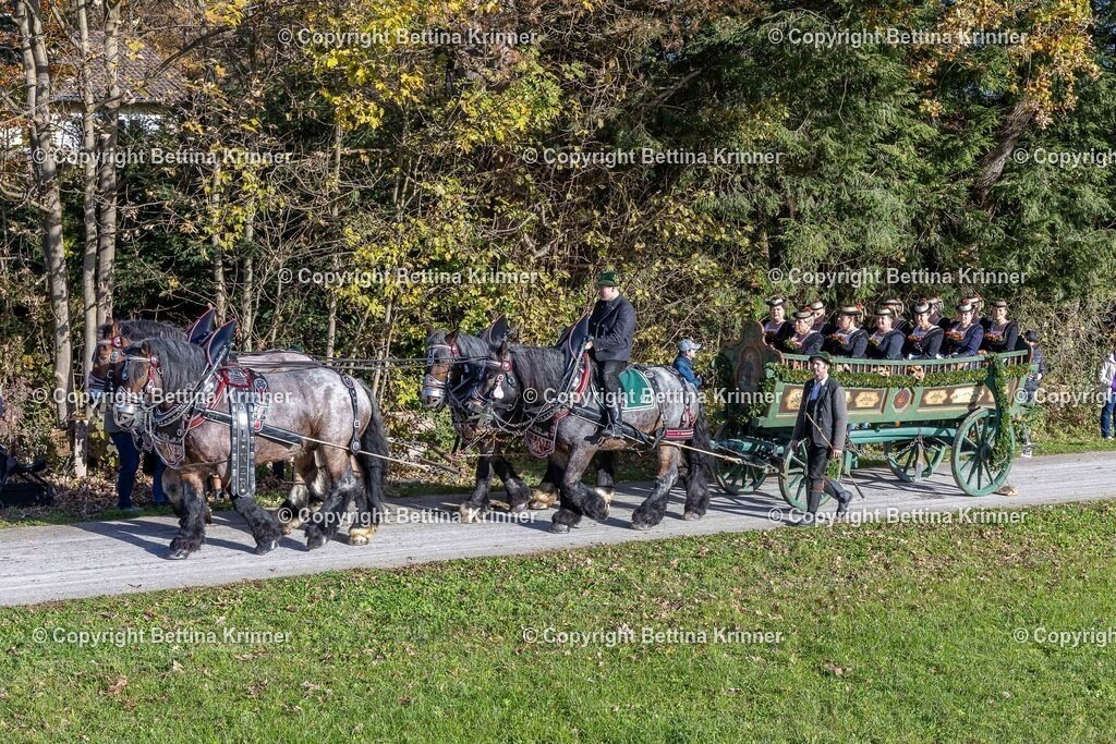 LBT24-631 | foto-bettina-krinner - Realisiert mit Pictrs.com
