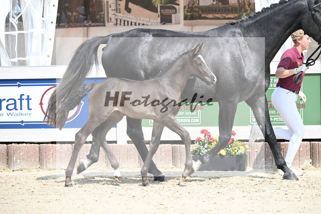 Arezzo Man x Calido I_SF_Maier u Mayerfoels_12250524 | hf-fotografie - Realisiert mit Pictrs.com