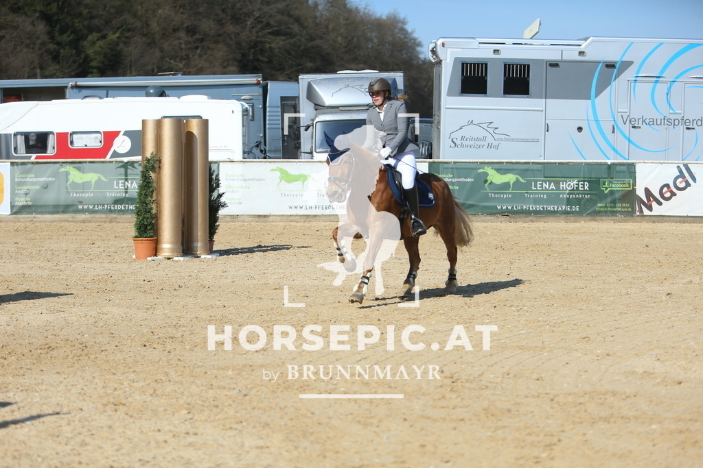 DL2Q2493 | Willkommen bei Brunnmayr - Design & Fotografie – Ihrem Spezialisten für Reitturniere und Pferdeveranstaltungen in Oberösterreich, Salzburg und Bayern! Seit über 17 Jahren sind wir leidenschaftlich dabei.