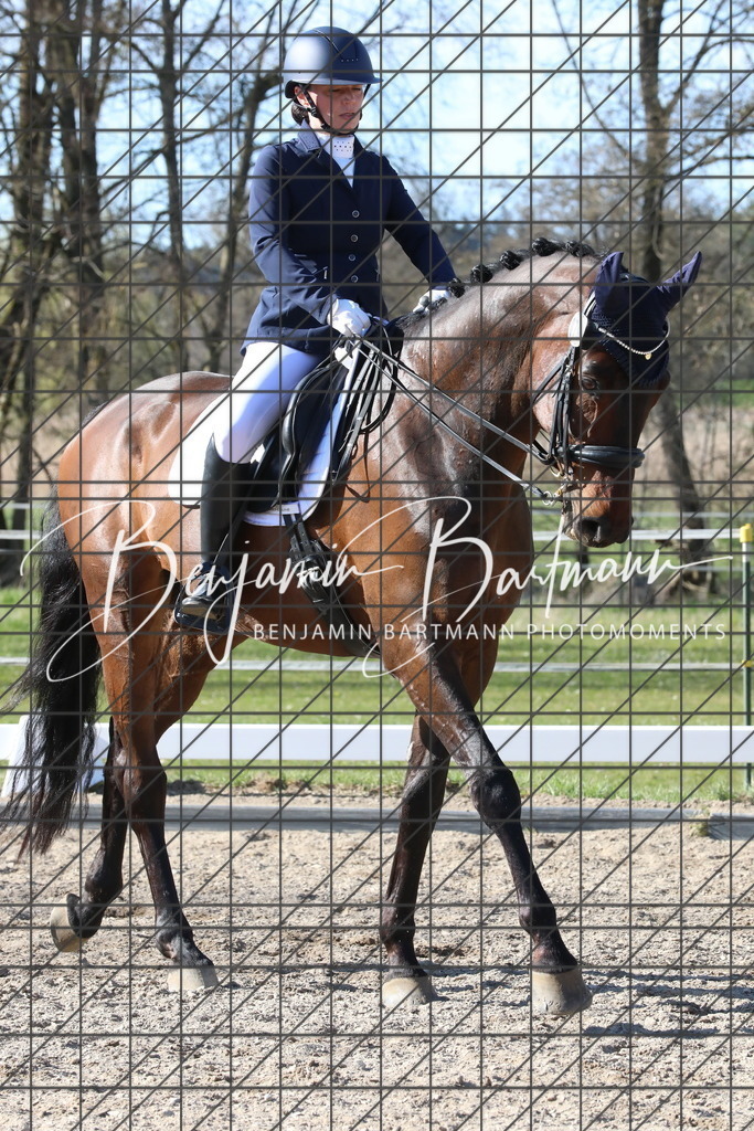 AZ2A5236 | Benjamin Bartmann Photomoments