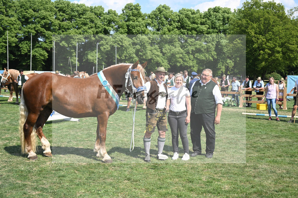 Kat-Nr. 51 Finesse G_Grandauer_20231234 | hf-fotografie - Realisiert mit Pictrs.com