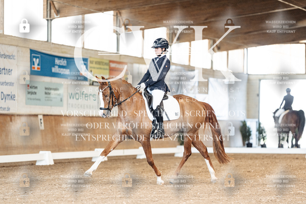 CK900755 | Turnierfotografie Pferdefotografie Trier Rheinland-Pfalz Pferdesport Reitsport Tierfotografie Sportfotografie Pferdevideo Pferdevideografie Equestrianvideography equestrianphotography  - Realized with Pictrs.com