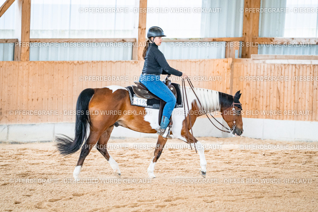 DSC09784 | Pferdegrafie