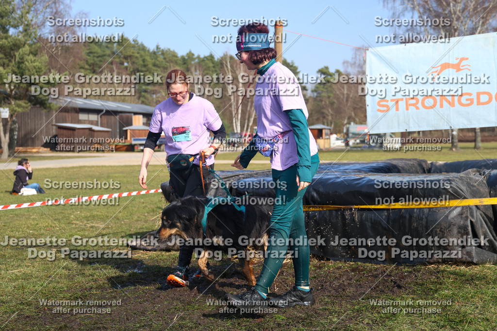 Dog Paparazzi - Strongdog North Mrz26-3227 | Dog Paparazzi Jeanette Grottendiek Fotografie & Videografie - Realisiert mit Pictrs.com