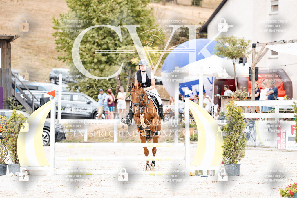 CK907883 | Turnierfotografie Pferdefotografie Trier Rheinland-Pfalz Pferdesport Reitsport Tierfotografie Sportfotografie Pferdevideo Pferdevideografie Equestrianvideography equestrianphotography  - Realisiert mit Pictrs.com
