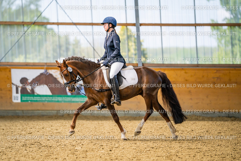 DSC03635 | Pferdegrafie