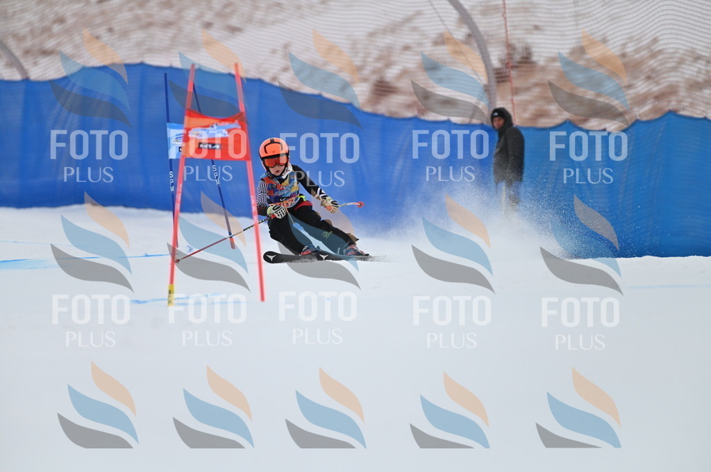 BGV_1736 | holidayphoto