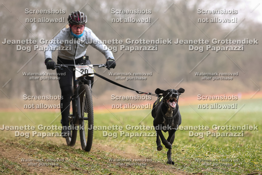 Dog Paparazzi - Plate 2026-73 | Dog Paparazzi Jeanette Grottendiek Fotografie & Videografie - Realisiert mit Pictrs.com