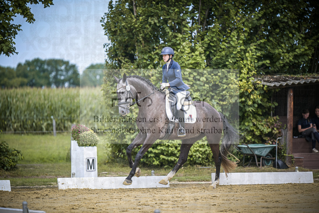 DOS_2208 | Entdecke hochwertige Reitturnierfotos von Foto Oger. Professionell, emotional und authentisch – jetzt Lieblingsmomente im Shop bestellen.Deutschlandweite Turnierfotografie. - Realisiert mit Pictrs.com