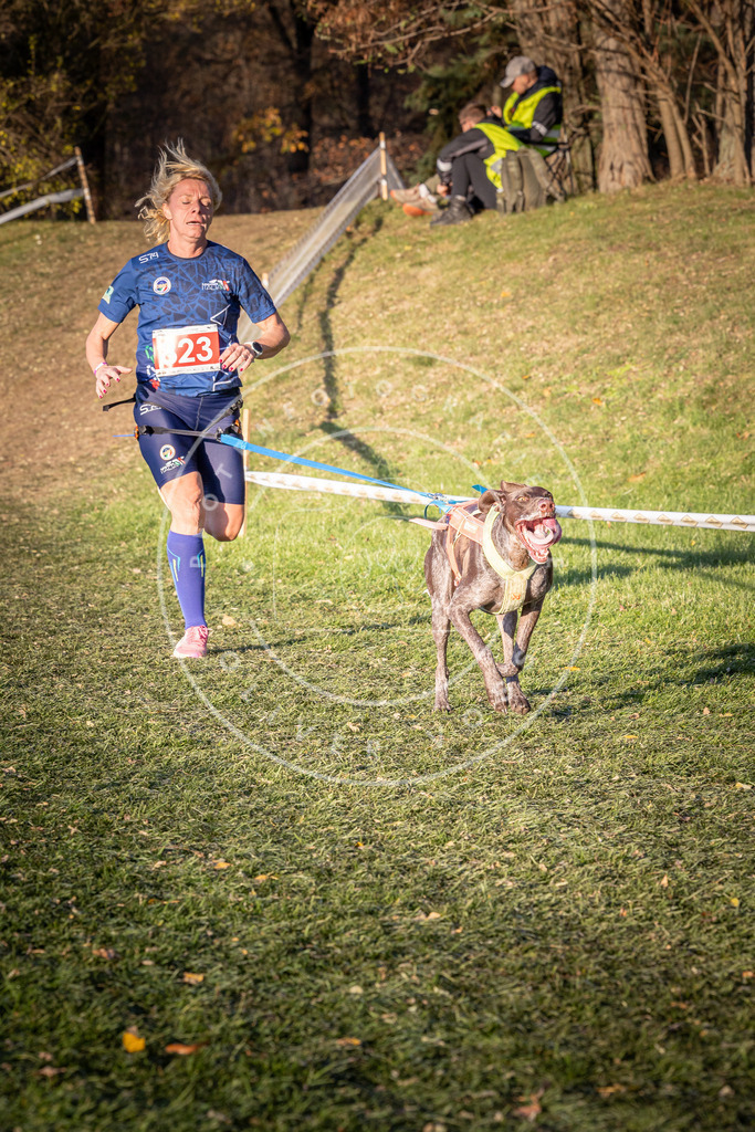 CaniXpix_0L8A0578 | Hundefotografie, Tierfotograf, Pfotenfotografie, Fotoshooting Hund, Hunde Portrait, Hundesport, Hundeportraits, Heideshooting, Hunde, Sportfotograf, Hundefotograf, Turnierhundsport, THS,  - Realisiert mit Pictrs.com
