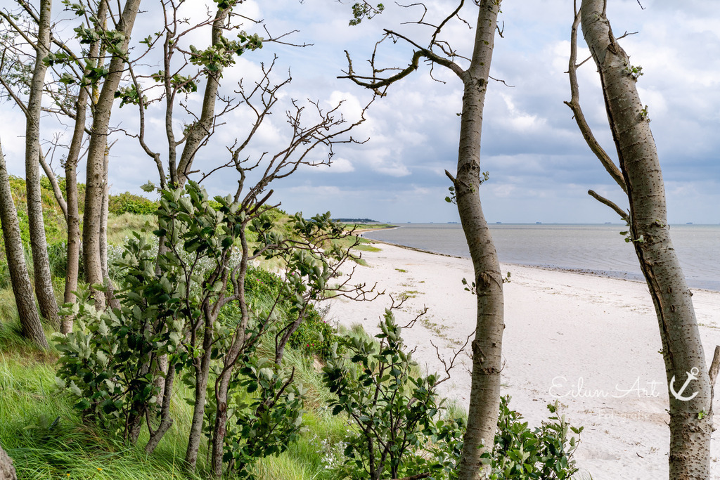 20240605-EAF_1542 | Eilun-Art-Fotografie Levke Martens, ihre Fotografin für Immobilien- und Landschaftsfotografie auf Föhr, Föhrer Motive als Poster, Leinwand, hinter Acrylglas oder stelle dir deinen eigenen Monatskalender zusammen, mit nur einem Klick
