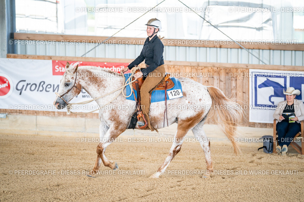 DSC01940 | Pferdegrafie