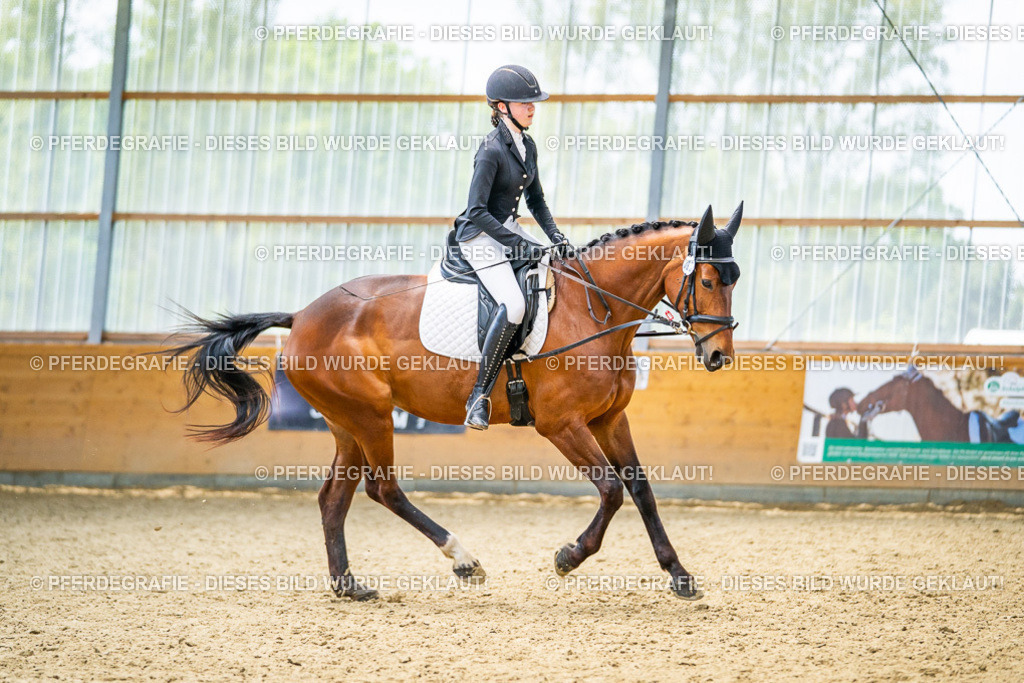 DSC04333 | Pferdegrafie