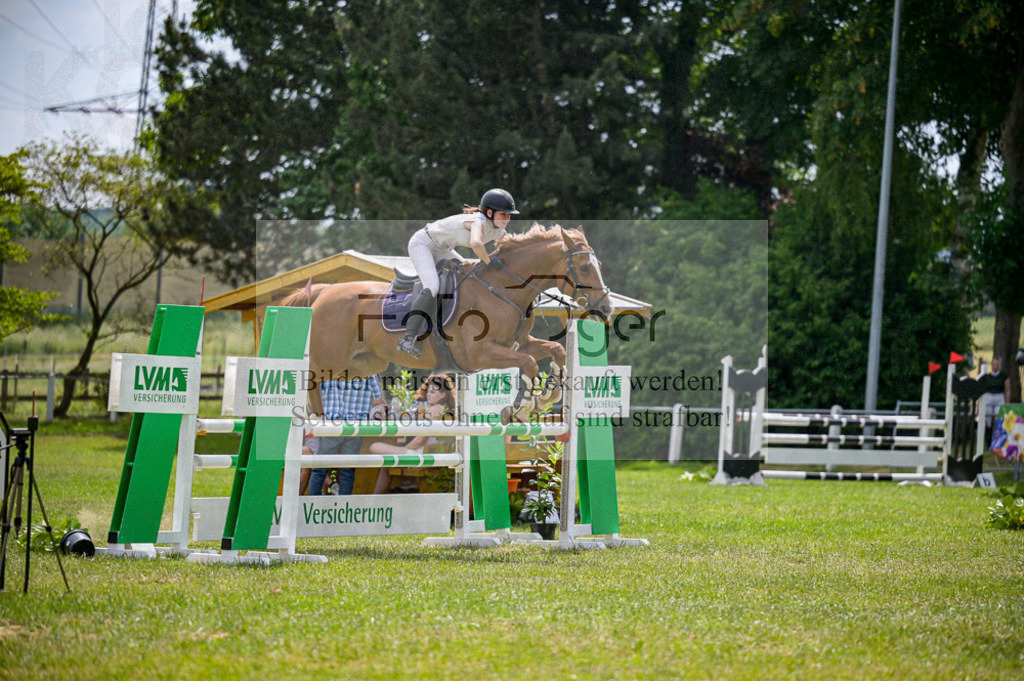 Reitturnier Voxtrup | Entdecke hochwertige Reitturnierfotos von Foto Oger. Professionell, emotional und authentisch – jetzt Lieblingsmomente im Shop bestellen.Deutschlandweite Turnierfotografie. - Realisiert mit Pictrs.com