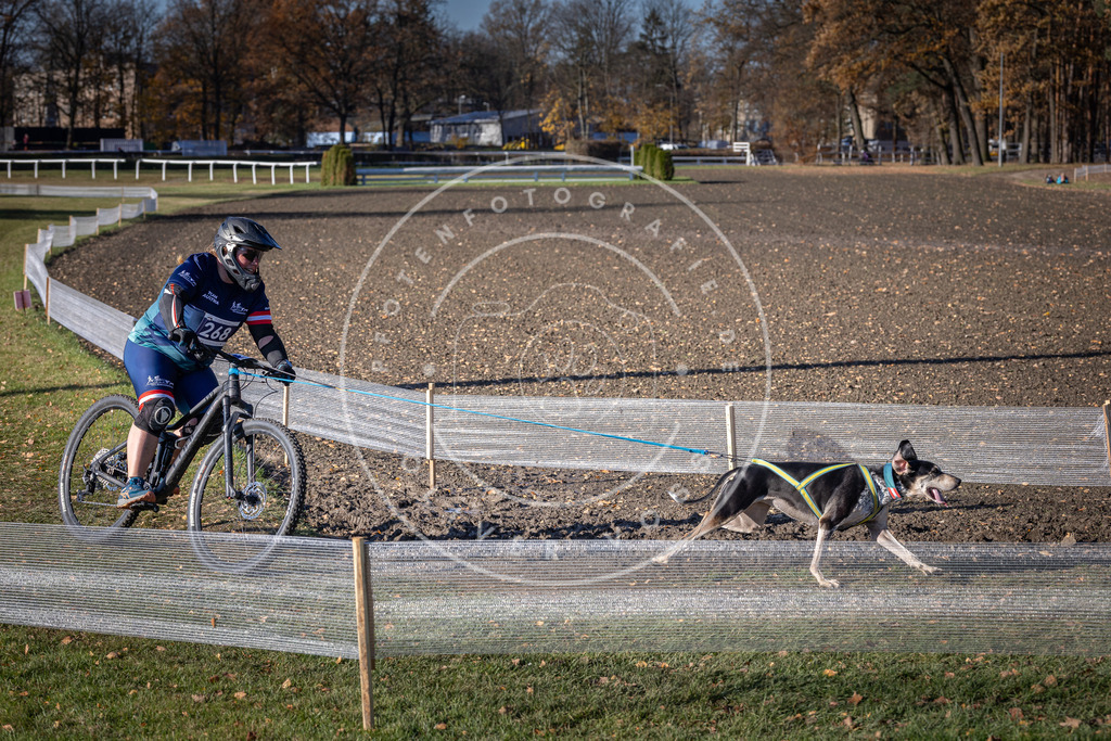 CaniXpix_DV3A5096 | Hundefotografie, Tierfotograf, Pfotenfotografie, Fotoshooting Hund, Hunde Portrait, Hundesport, Hundeportraits, Heideshooting, Hunde, Sportfotograf, Hundefotograf, Turnierhundsport, THS,  - Realisiert mit Pictrs.com