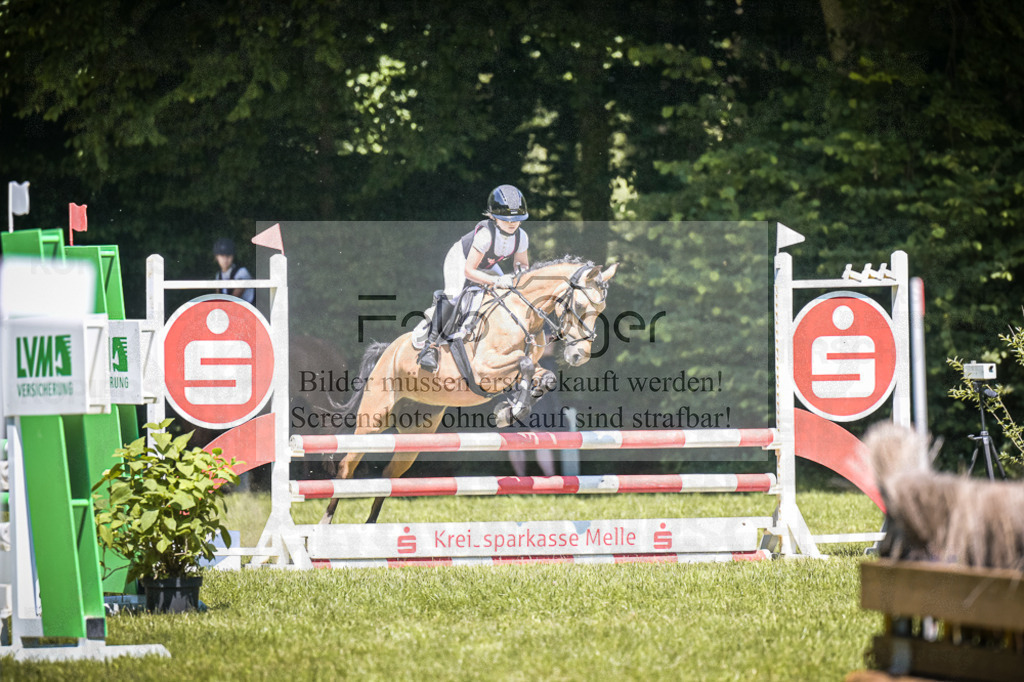DOS_4227 | Entdecke hochwertige Reitturnierfotos von Foto Oger. Professionell, emotional und authentisch – jetzt Lieblingsmomente im Shop bestellen.Deutschlandweite Turnierfotografie. - Realisiert mit Pictrs.com