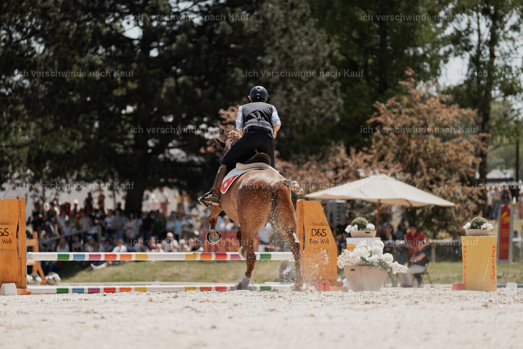 WE_SP_Stoib_323_PI2025_1898 | Pferd International München 2025