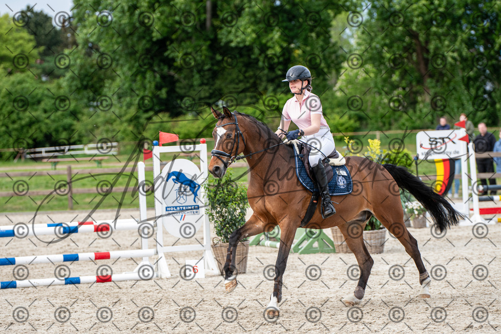 KPT_7202 | andre_photographic