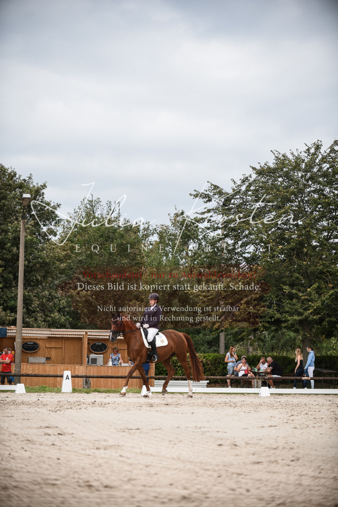 DSC_8376 | Pferde- und Turnierfotografie in Westsachsen. Pferdeportraits, Auftragszeichnungen und intuitive Kunst.