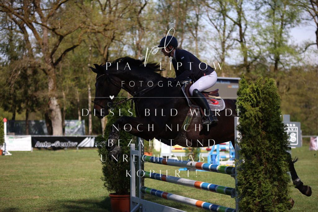 IMGT0352 | pl-fotografie