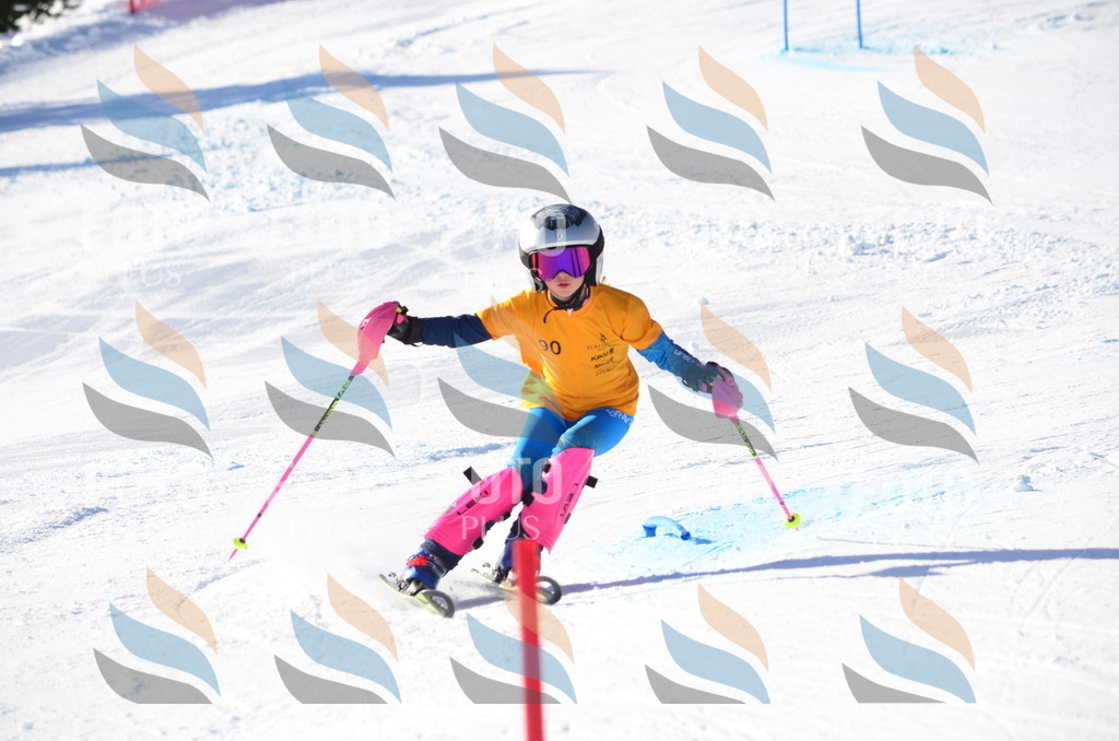 C6066 | holidayphoto