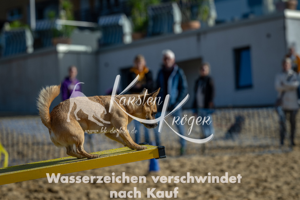 1103_ZZ90215 | kk-dogfotos