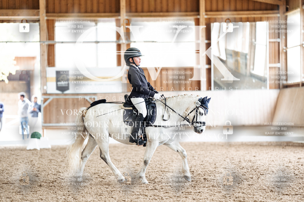 CK900959 | Turnierfotografie Pferdefotografie Trier Rheinland-Pfalz Pferdesport Reitsport Tierfotografie Sportfotografie Pferdevideo Pferdevideografie Equestrianvideography equestrianphotography  - Realisiert mit Pictrs.com