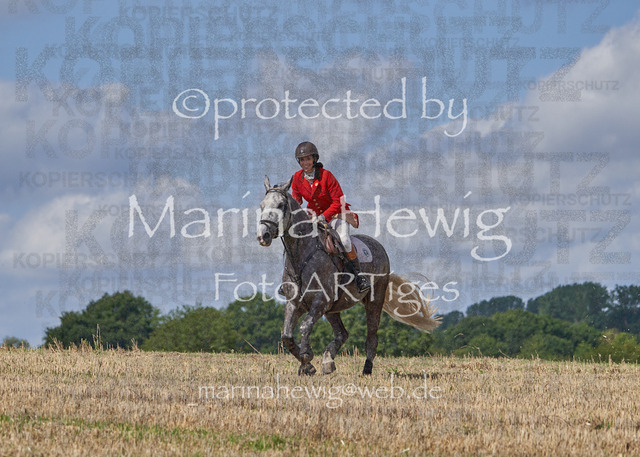 _MCH8462_Marina Hewig | Fotografie, FotoArt, PferdesportArt, Pferdesportfotografie, Landschaftsfotografie, Reisefotografie, Reise, Pferde - Realisiert mit Pictrs.com