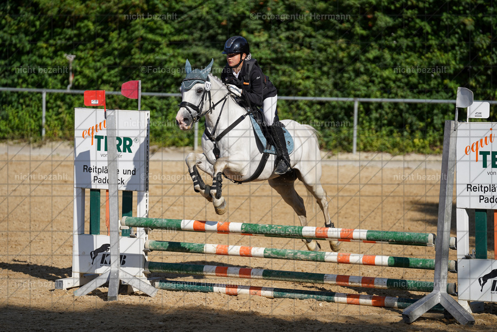 20240824-FAH07318 | Thierhaupten 2024, Bayerisches Landesponyturnier, Turnierbilder, Ponybilder, Turnierfotografen Bayern, Fotoagentur Herrmann