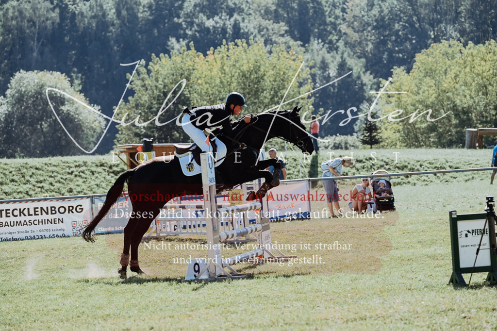 DSC_5745 | Pferde- und Turnierfotografie in Westsachsen. Pferdeportraits, Auftragszeichnungen und intuitive Kunst.