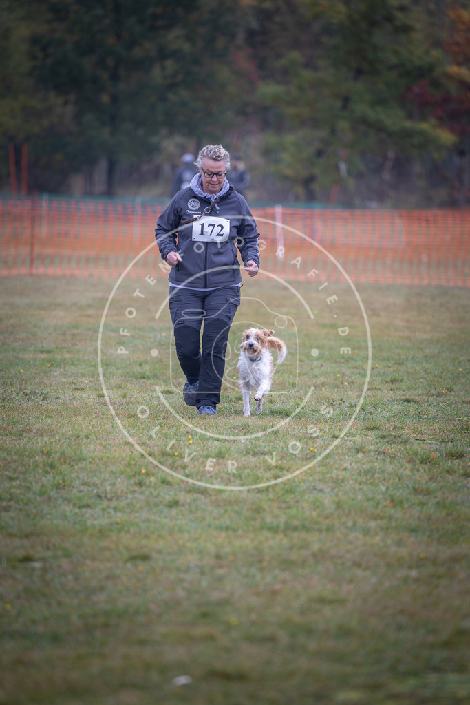 Pfotenfotografie_DV3A9186 | Hundefotografie, Tierfotograf, Pfotenfotografie, Fotoshooting Hund, Hunde Portrait, Hundesport, Hundeportraits, Heideshooting, Hunde, Sportfotograf, Hundefotograf, Turnierhundsport, THS,  - Realisiert mit Pictrs.com