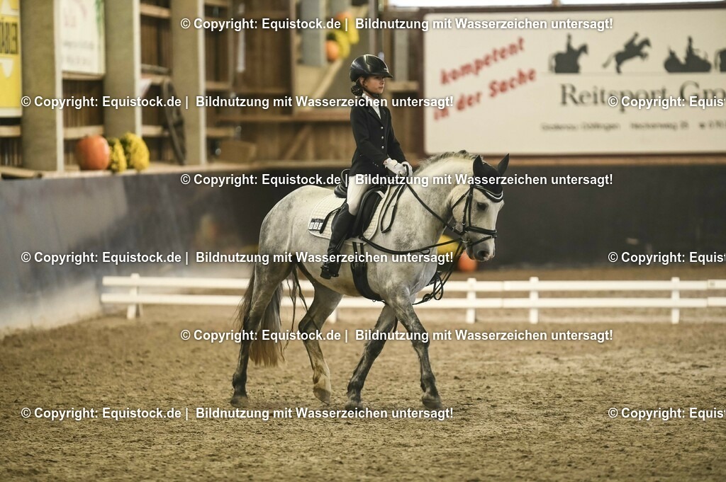 20231029_02_Reiter-WB_Schritt-Trab-Galopp_Abteilung-02_0045 | Foto: Thomas Hartig