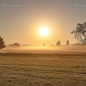 Im Morgenlicht
