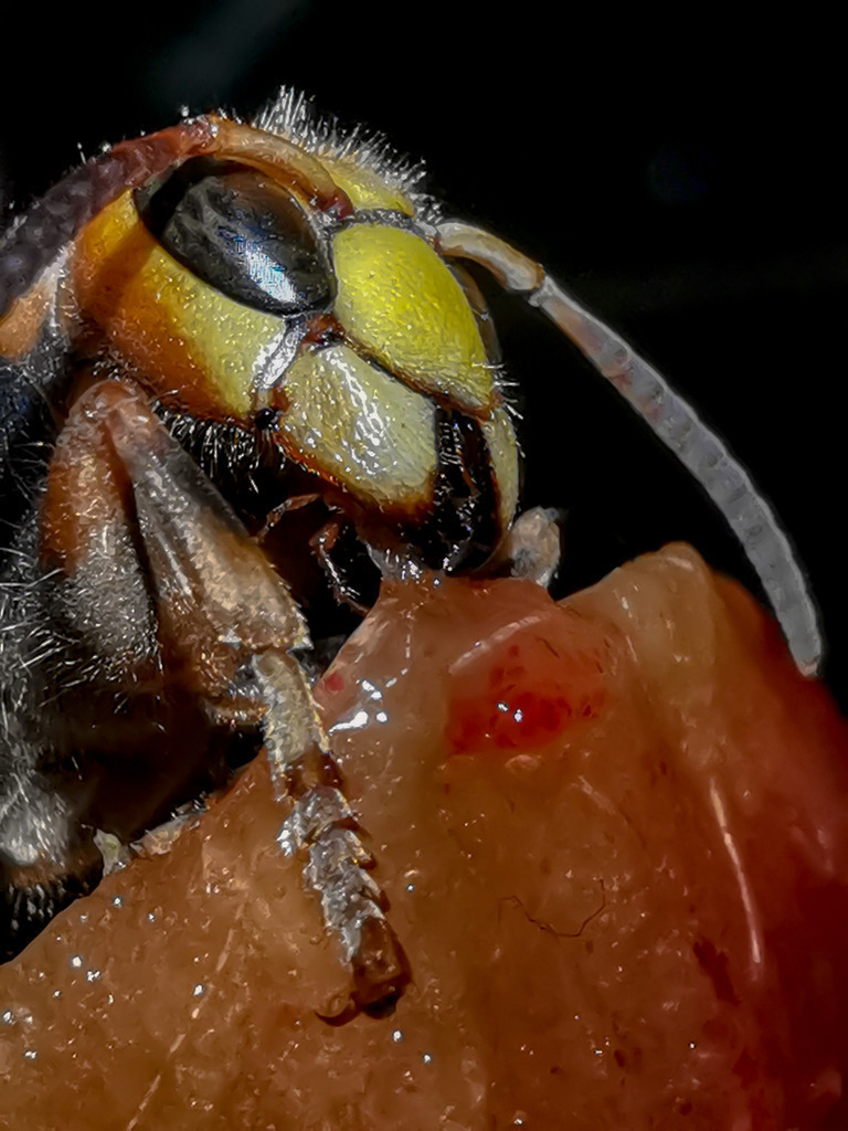 PSX_20230910_001248 | mtkfoto_ - Realisiert mit Pictrs.com