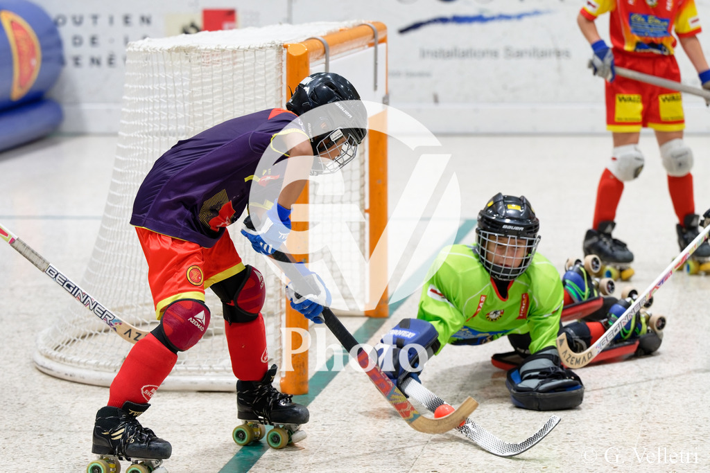 DSC_0545 | Velletri Photo