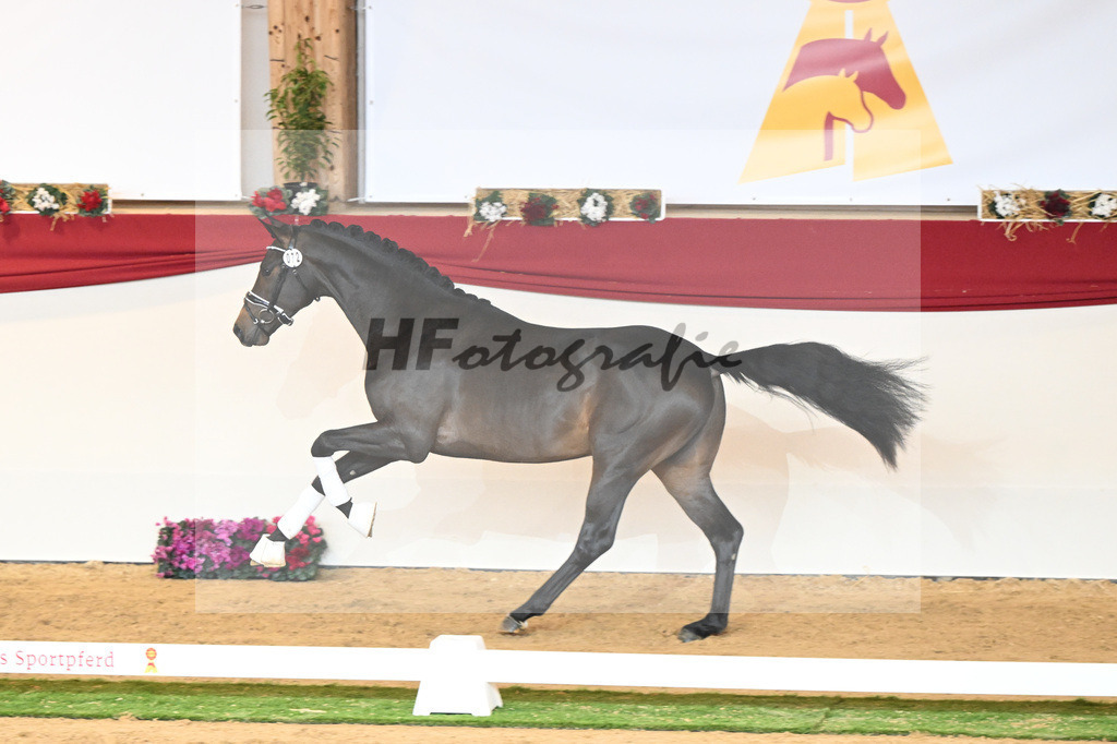 Kat-Nr. 72 Vaderland_Durrer_1230530 | hf-fotografie - Realisiert mit Pictrs.com