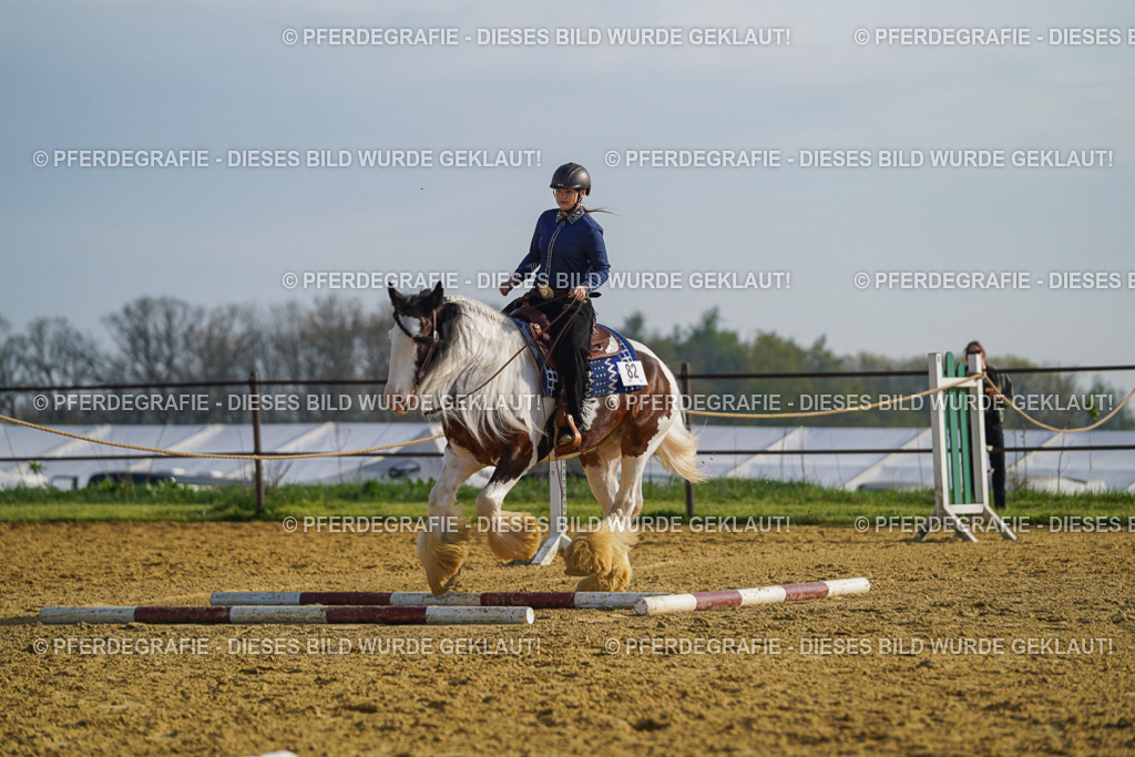 DSC00924 | Pferdegrafie