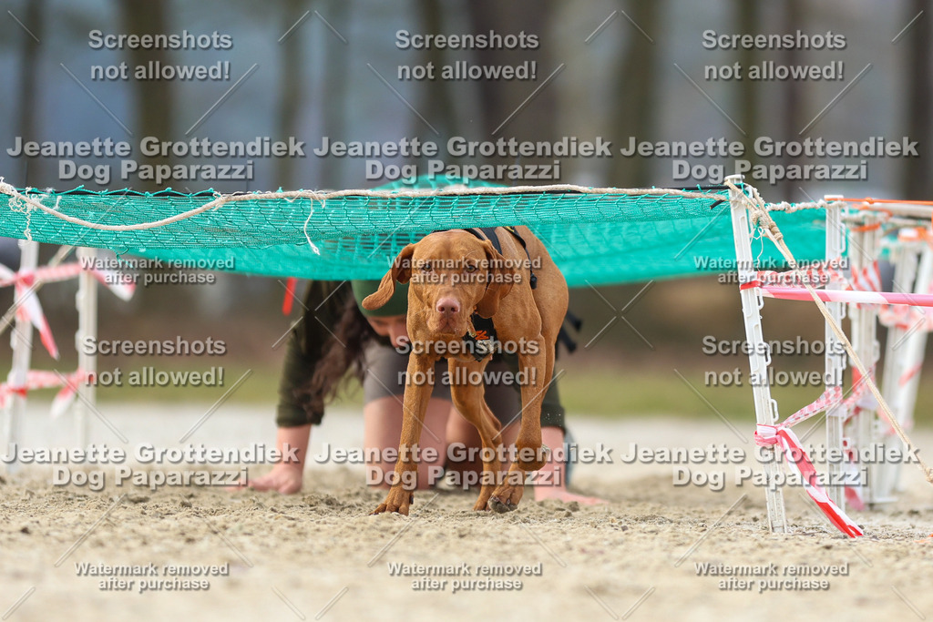 Dog Paparazzi - Strongdog North Mrz26-4372 | Dog Paparazzi Jeanette Grottendiek Fotografie & Videografie - Realisiert mit Pictrs.com