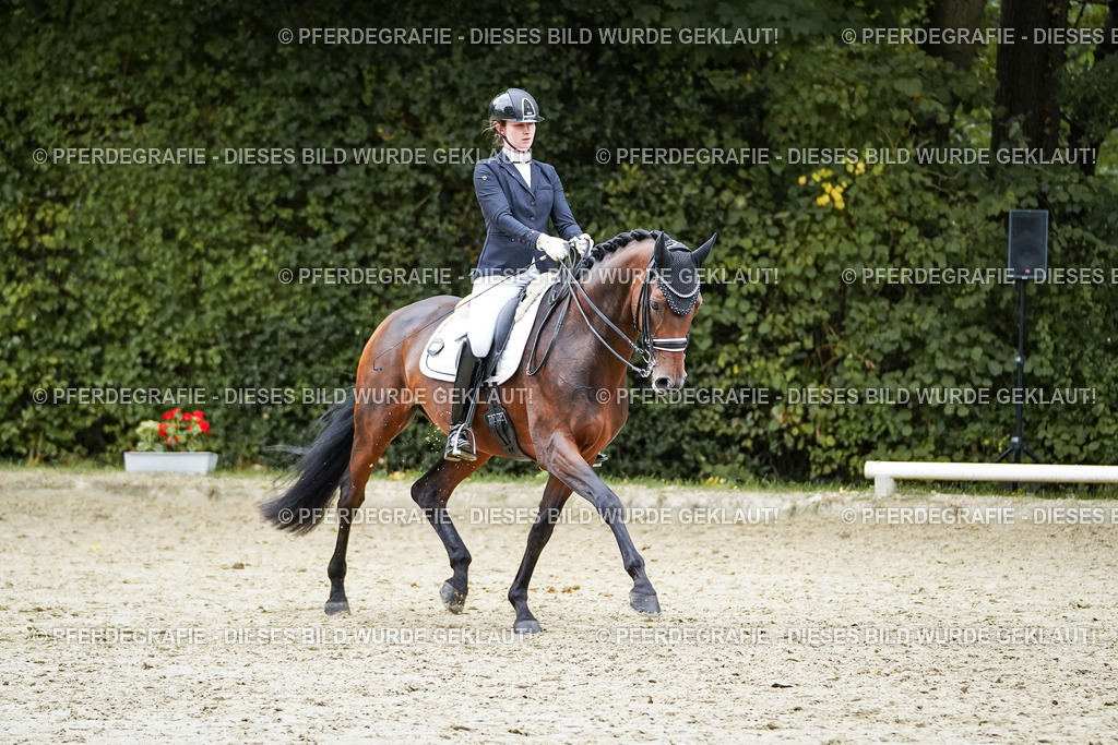 DSC01963 | Pferdegrafie