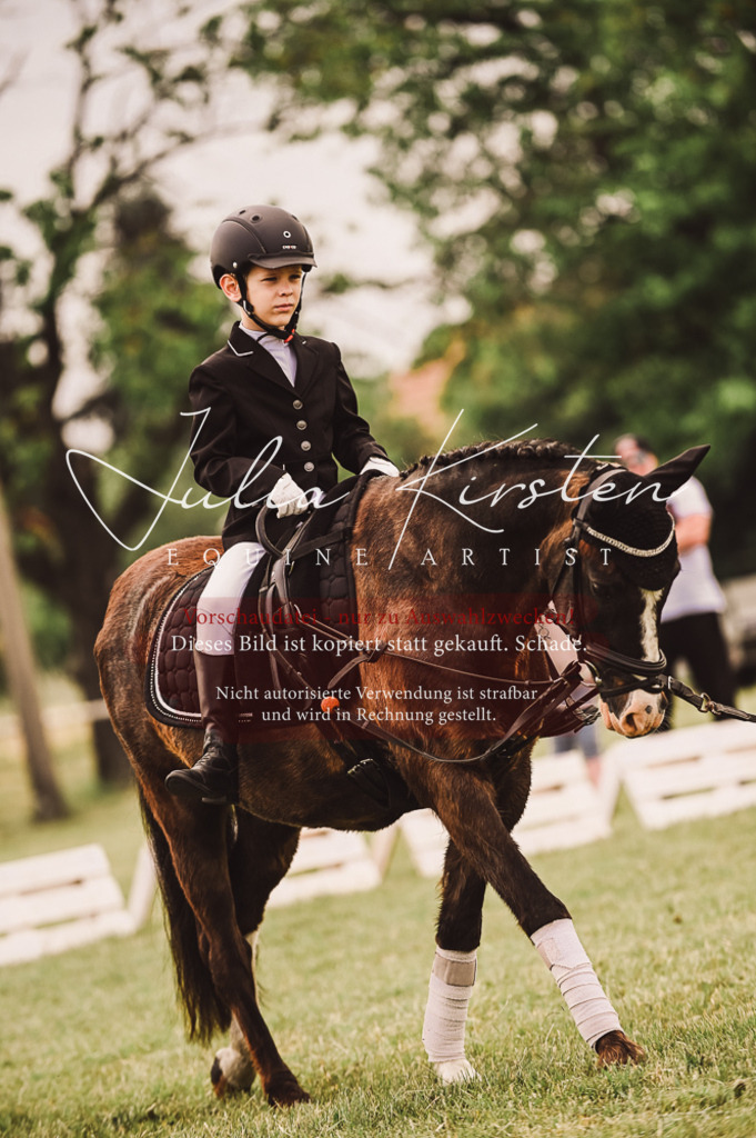 DSC_5316 | Pferde- und Turnierfotografie in Westsachsen. Pferdeportraits, Auftragszeichnungen und intuitive Kunst.