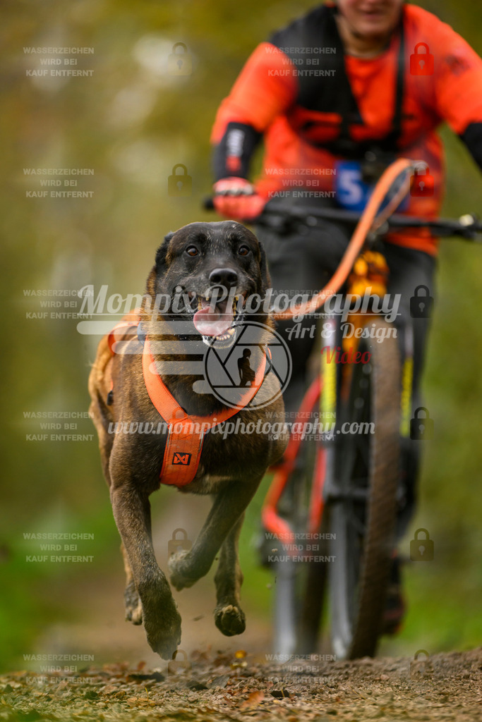 MompixPhotography_20TSB_E6_Bike-174 | PayLife