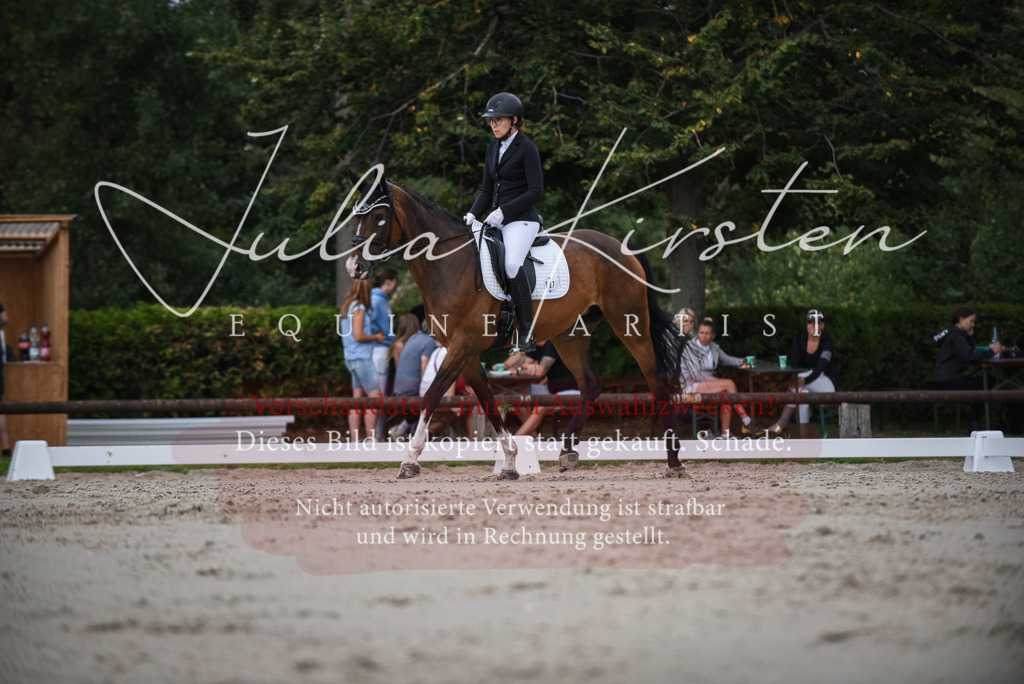 DSC_8552 | Pferde- und Turnierfotografie in Westsachsen. Pferdeportraits, Auftragszeichnungen und intuitive Kunst.