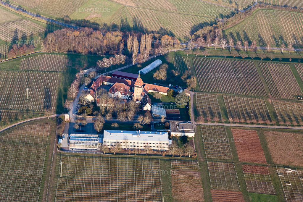 Luftbild: Siebeldingen, Geilweilerhof in Siebeldingen im Bundesland Rheinland-Pfalz in Deutschland. Foto: IMG_105130.jpg vom 24.03.2018 durch Werner Riehm/FLY-FOTO.de