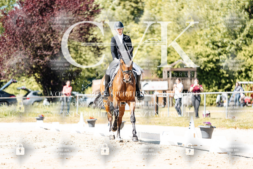 CK905234 | Turnierfotografie Pferdefotografie Trier Rheinland-Pfalz Pferdesport Reitsport Tierfotografie Sportfotografie Pferdevideo Pferdevideografie Equestrianvideography equestrianphotography  - Realisiert mit Pictrs.com